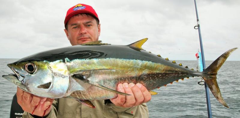 Przepisy i inspiracje z tuńczykiem