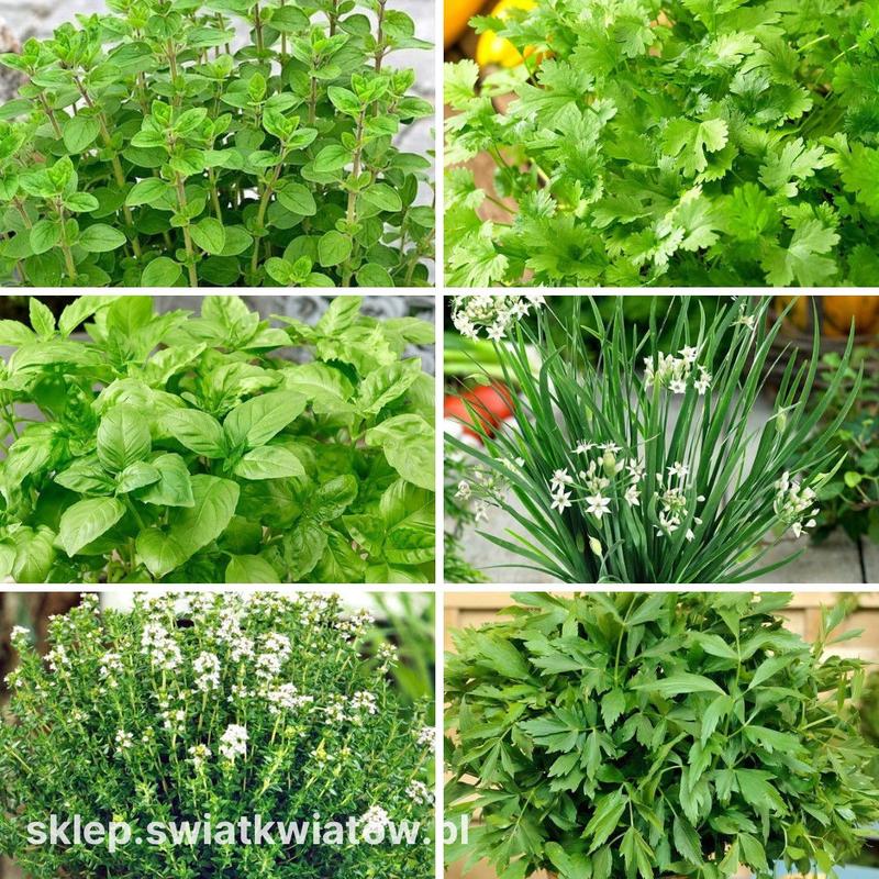 Zdrowe zamienniki przypraw