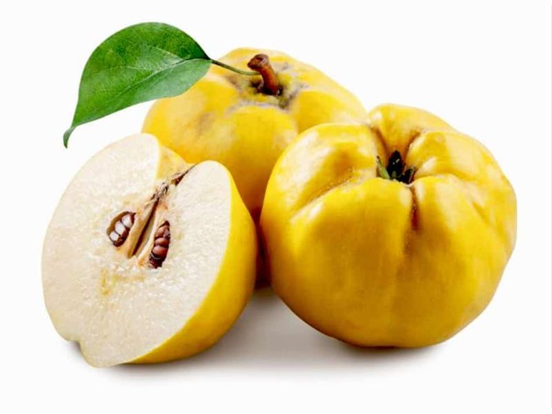 Odkryj niezwykły smak wina z pigwy – wyjątkowe doznania dla podniebienia