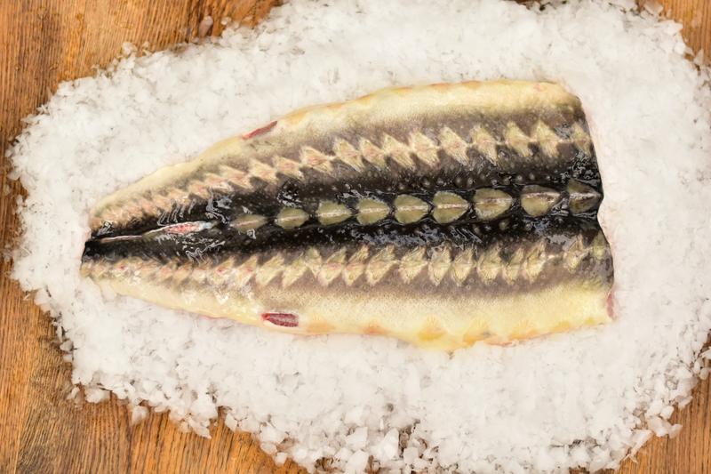 Odkryj wyjątkowy smak jesiotra – co warto wiedzieć o tej rybie?