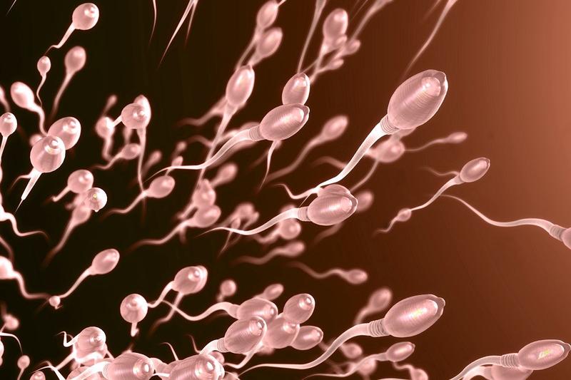 Naukowe badania nad smakiem