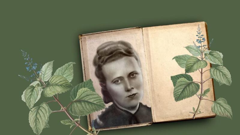 Podróże kulinarne i lokalne specjały