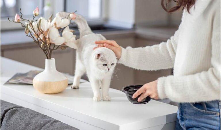 Alternatywy dla chleba i ziemniaków – co warto wprowadzić do swojej diety?