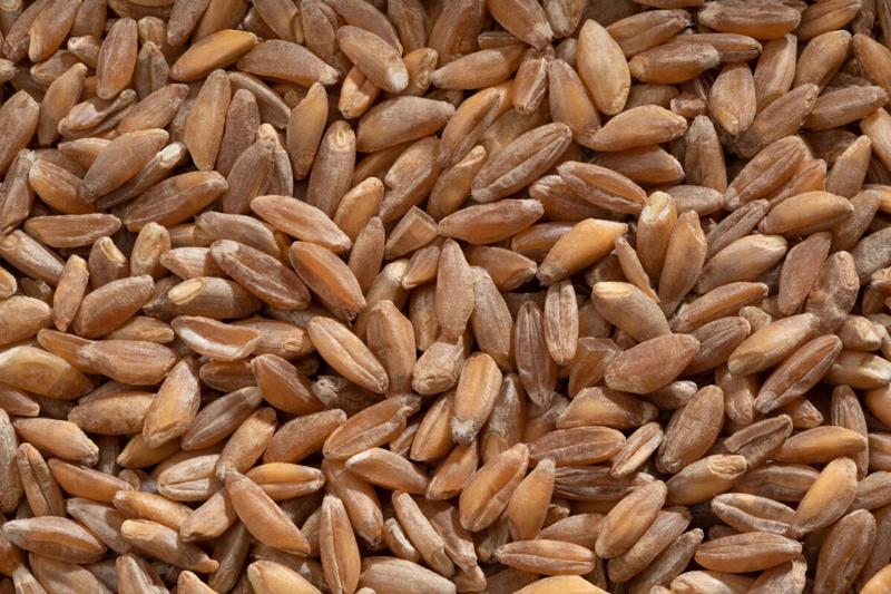 Jak skutecznie zastąpić mąkę z płaskurki w codziennym gotowaniu?