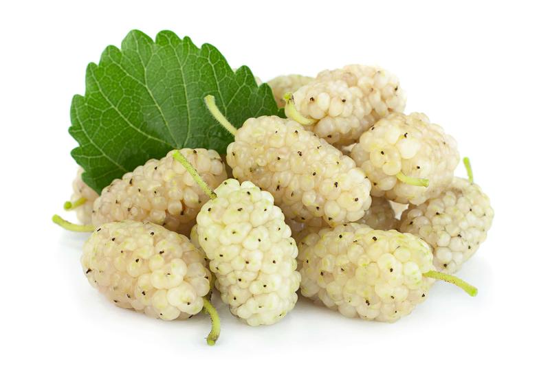 Odkryj tajemnice smaku morwy – co warto wiedzieć?