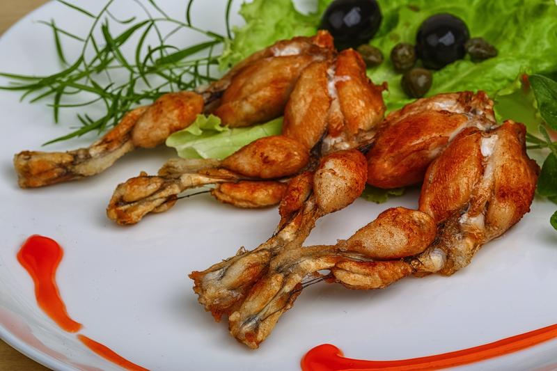 Odkrywamy smak żabich udek – co warto wiedzieć przed degustacją?