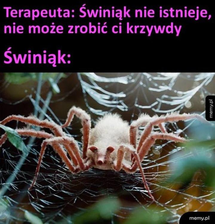 Chemiczne działanie jadu kiełbasianego na organizm