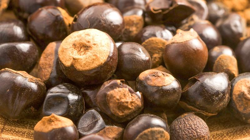 Guarana smak i właściwości