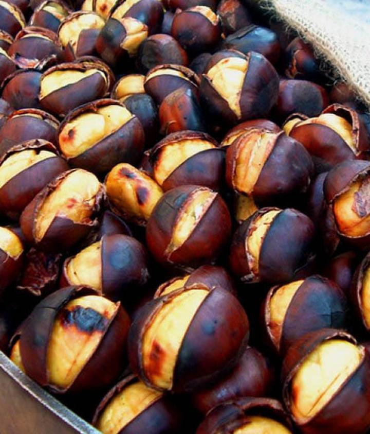 Kasztany jadalne