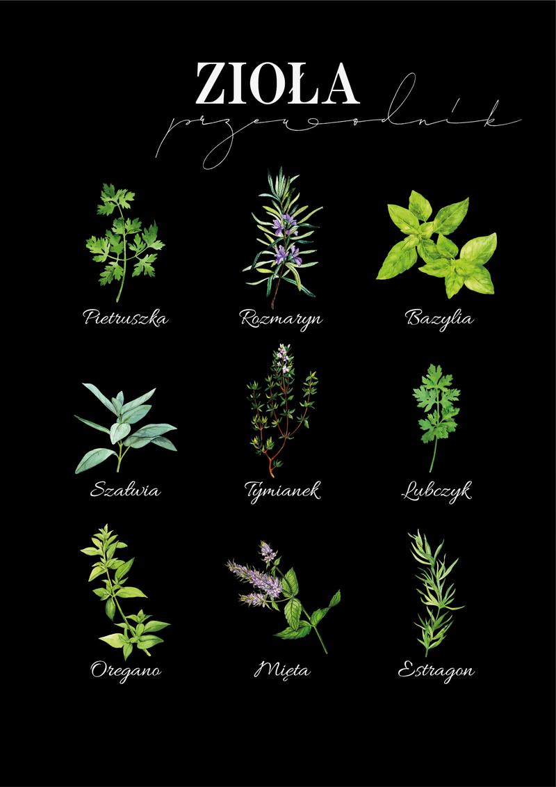 Przyprawy jako substytut czarnej gorczycy