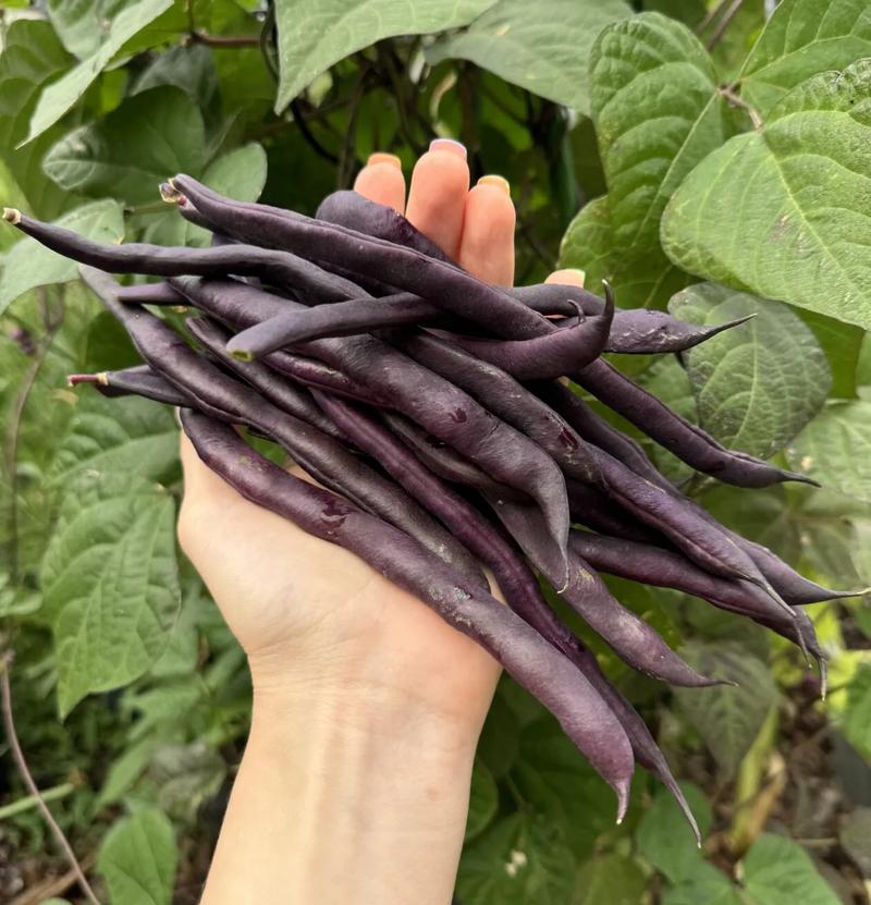 Przyprawy z różnych stron świata do zupy