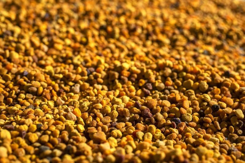 Pyłek pszczeli w diecie i samopoczuciu