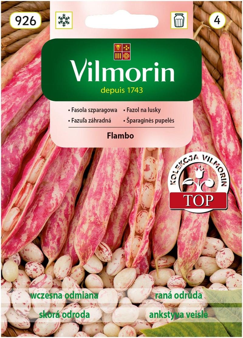 Wpływ przypraw na wartości odżywcze zupy