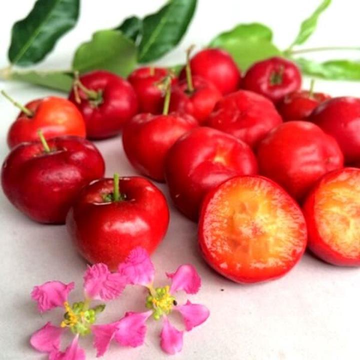 Tajemnice smaku aceroli – co warto wiedzieć?