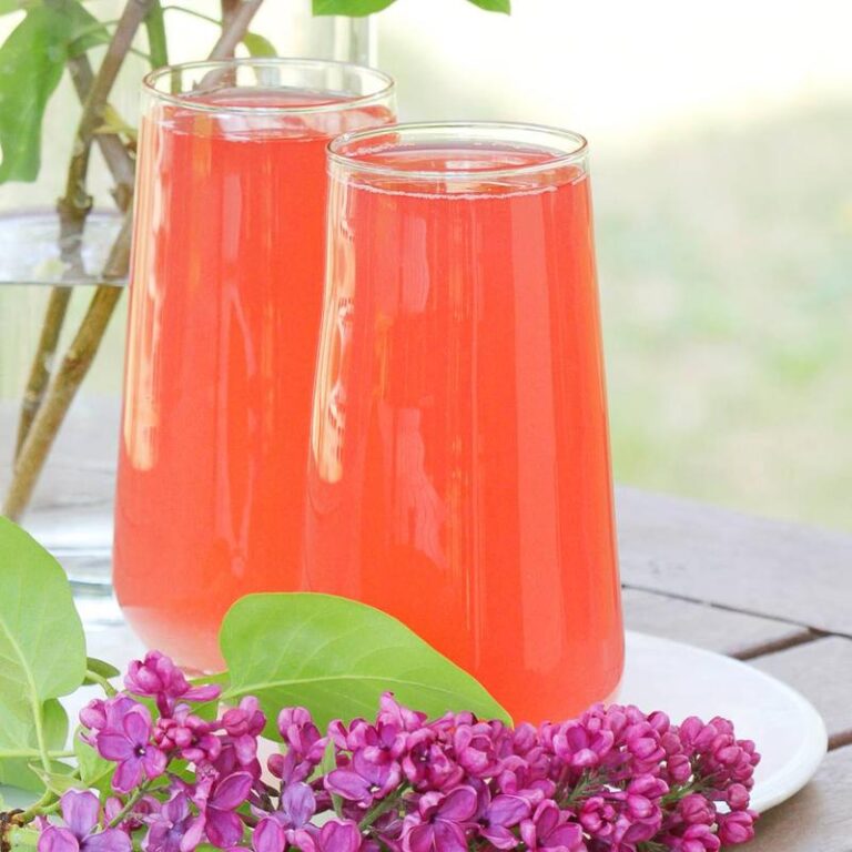 Odkryj tajemnice, jak się gotuje kompot z rabarbaru – sprawdzony przepis na letnie orzeźwienie