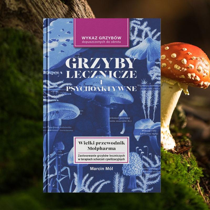 Przyprawy do grzybów