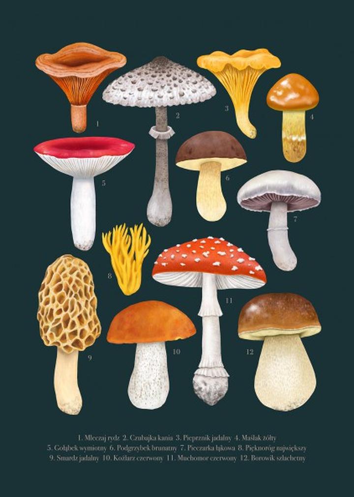 Smak smażonych grzybów