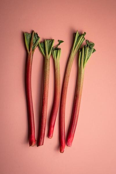 Zdrowotne właściwości rabarbaru